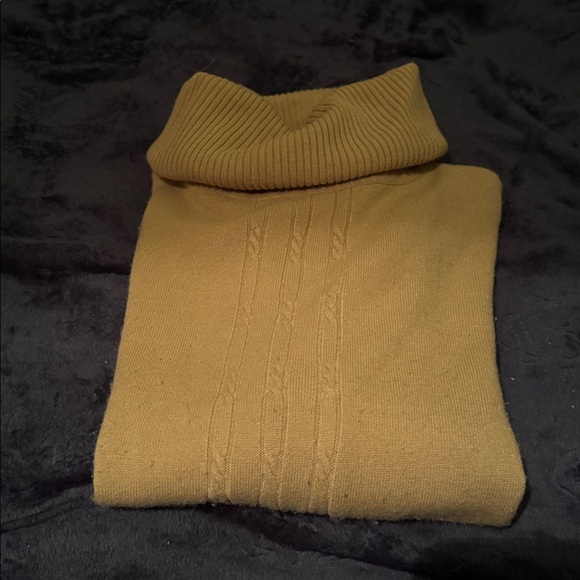 Kathie Lee Tan Sweater with Cowl Neck - Picture 4 of 6
